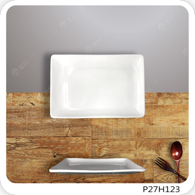 13.25英吋長方盤