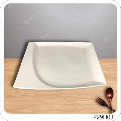 10.25英吋-四方盤