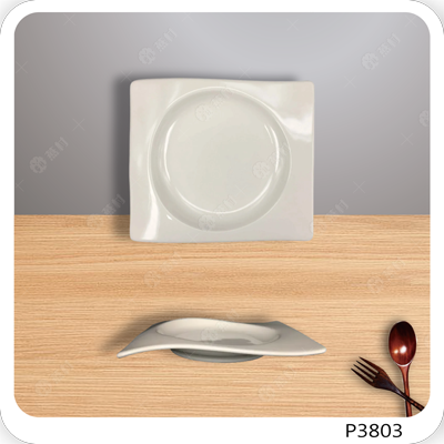 10英吋波浪長方盤