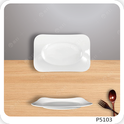 10英吋長方翹盤