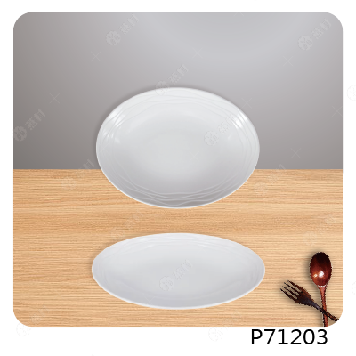 10英吋絹絲橢圓盤