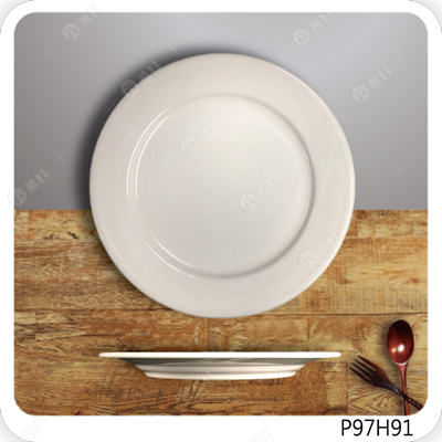 9.75英吋寬邊圓盤